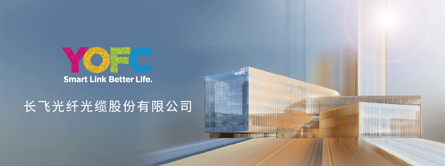 �L(zh��ng)�w�V��